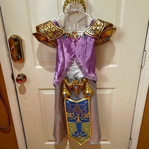 Legend of Zelda Costume